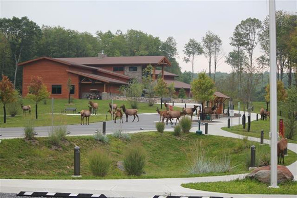 This scene at the Elk Country Visitors Center is not uncommon