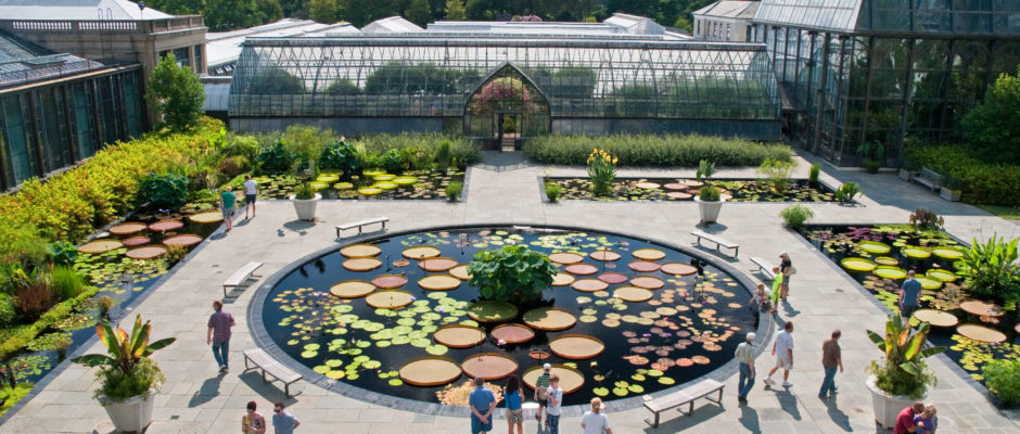 This Longwood Gardens 115115_The-Waterlily-Display-940x400