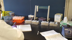 Fermentec refines their technology