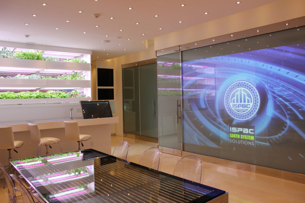 The storefront media window of the future